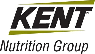 Kent logo