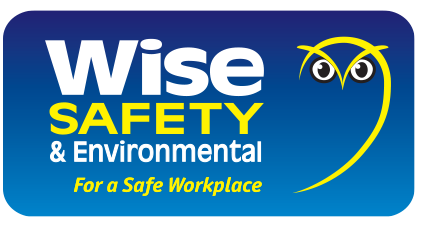 wise logo